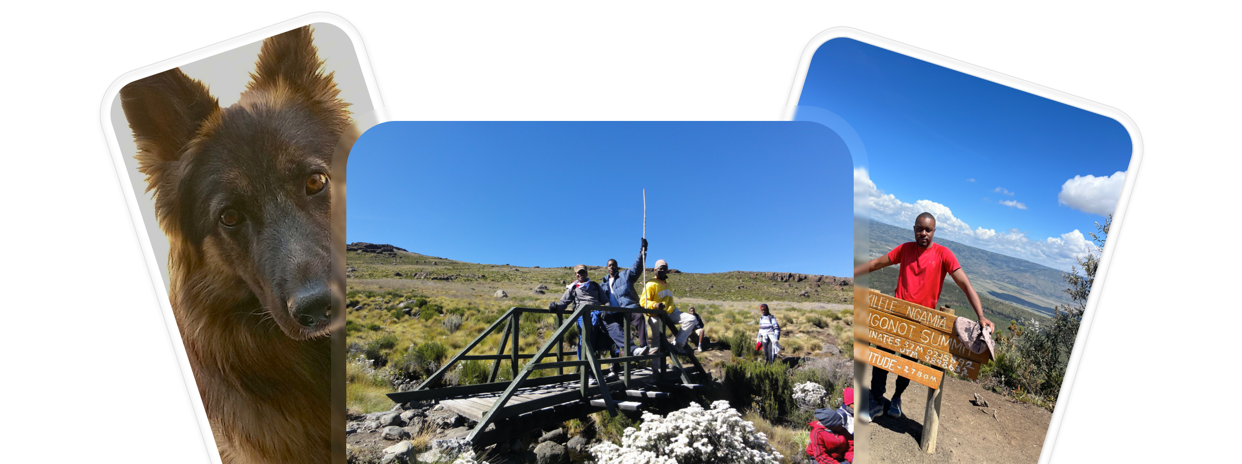 a dog and me at the summit of a mountain during the day